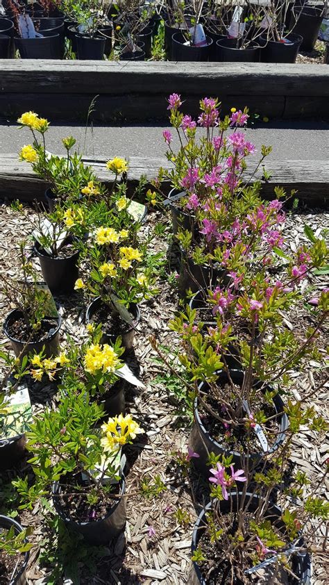 Dan's Feed Bin in Superior, WI 54880 - (715) 3...