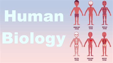 Basic Human Biology 的图像结果