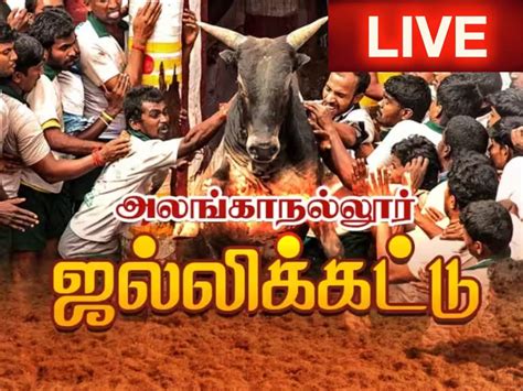 Alanganallur Jallikattu 2024 Completed Live Updates in Tamil ...