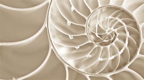 Image result for PowerShell Information