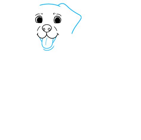 Image result for Labrador Drawing Tutorial