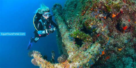 Soma Bay Diving Excursion - Diving from Soma Bay | Egypt Tours Portal