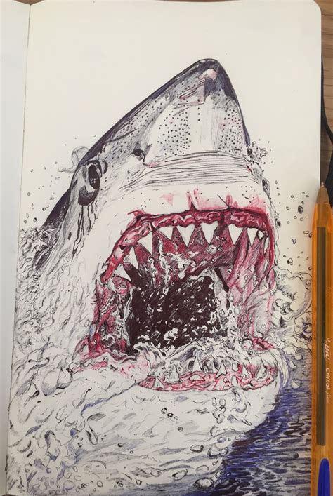 Great White Shark | Pen art drawings, Ink pen drawings, Biro art