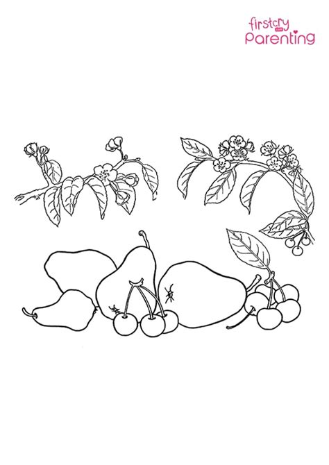 Pear With Leaf Coloring Page for Kids | FirstCry Parenting