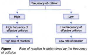 Image result for Collision Theory Explained