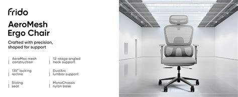 Frido AeroMesh Ergo Chair, Adjustable Armrests & Headrest, Lumbar ...