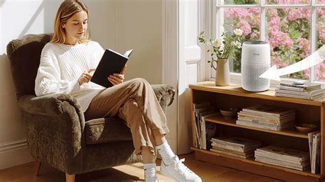 5 Best Rated Levoit Air Purifiers: Advanced Filtration System With ...
