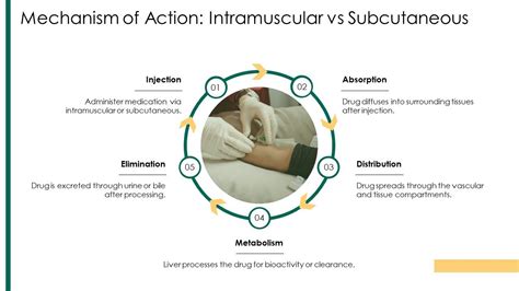 Intradermal vs Subcutaneous Injection 的图像结果