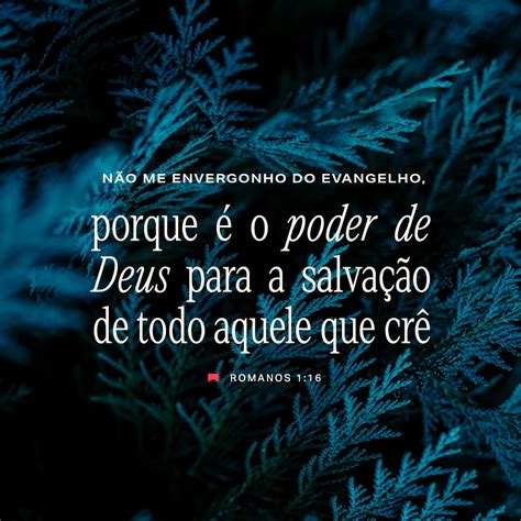 Romanos 16 Versículo 17 Romanos 3:16 17 Bíblia