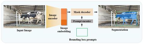 Lameness Detection of Dairy Cows Based on Gait Feature Map and ...