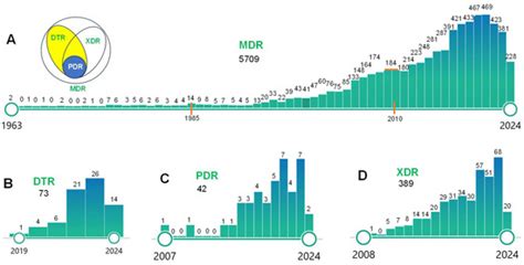 Deciphering Multidrug-Resistant Pseudomonas aeruginosa: Mechanistic ...