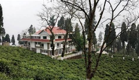 The Beautiful Tea Resort In Mirik | WhatsHot Kolkata
