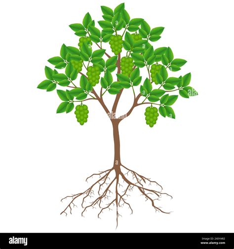 Environment spanish Stock Vector Images - Alamy