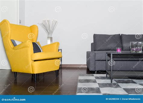 Armchair and Graceful Modern Gray Sofa Couch Stock Photo - Image of ...