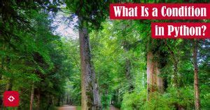 Image result for Python Condition Operator