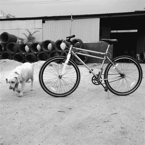 Our Story | How Hornback Redefined Indian Cycling