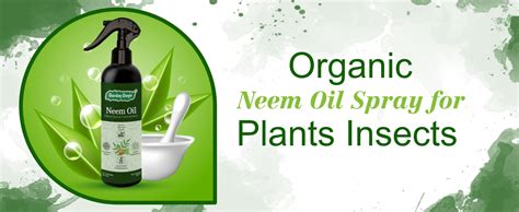 Garden Genie Rose Plant Fertilizer for Flowering and Growth 800g ...