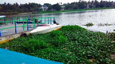 Flash floods in Kerala: A junked breakwater plan may have been Achilles ...