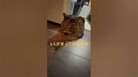 Image result for Operator Drawing Example