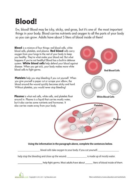Free Science Lessons Blood 的图像结果