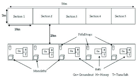 Image result for Transect Method Continuous Sampling