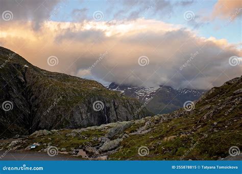 Nature View 的图像结果
