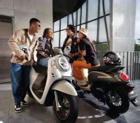 Honda Scoopy Scooter Picture Gallery - Bikes4Sale