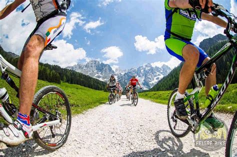 Experience - Val Venegia Full-Day Bike Tour - Valbelluna