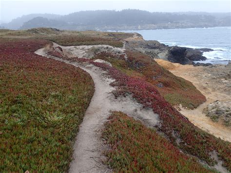 Point Mendocino Coastal Trail.