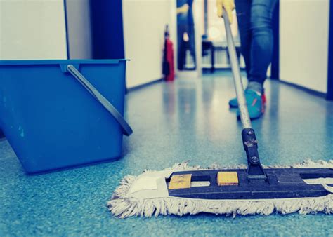 Maid4u – Trusted Maids & Home Support Services | Housekeeping, Cooking ...