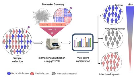 New blood-based biomarker to distinguish between bacterial and viral ...