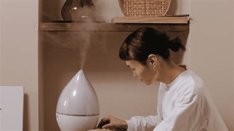 Image result for Humidifier Types