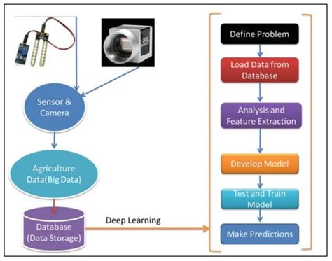 Deep Learning Crop Model 的图像结果
