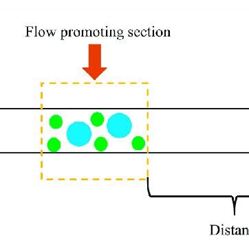 Numerical Computer Simulation HD 的图像结果