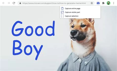 Image result for MIT HTML Button Zum Screen Shot