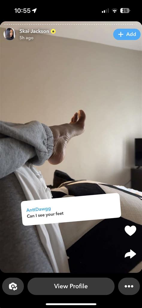 Snap Story Arch : r/SkaiJaxkosn