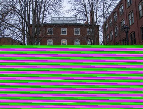 Christmas In Salem – Boughs & Blooms – Joshua Ward House (Salem, MA ...