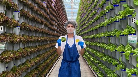 Organic Indeed Produce 的图像结果