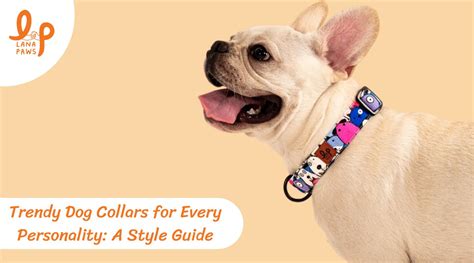 Trendy Dog Collars for Every Personality: A Style Guide – Lana Paws