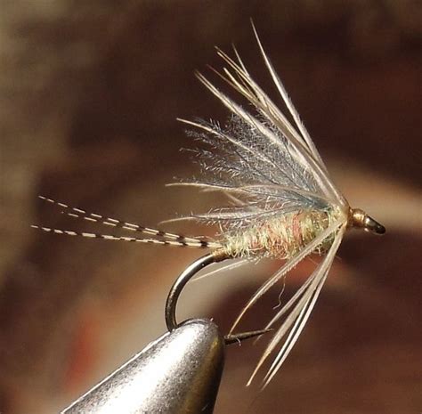 Image result for PMD Fly Pattern