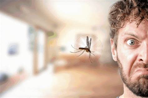 Macadve™ Ultrasonic Portable Pest Repeller