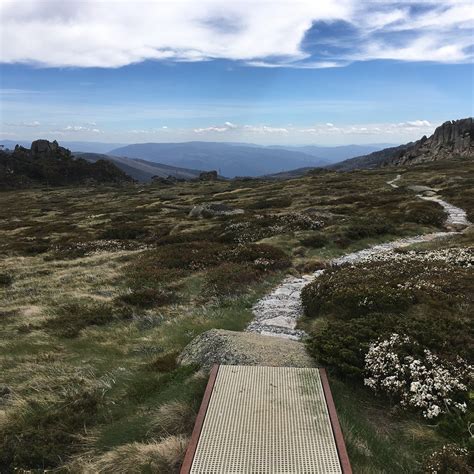 THREDBO VALLEY TRACK (2025) All You Need to Know BEFORE You Go (with ...