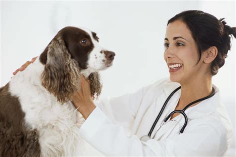PRIVATE VETERINARY COLLEGES IN INDIA RECOGNIZED BY VCI - Career ...