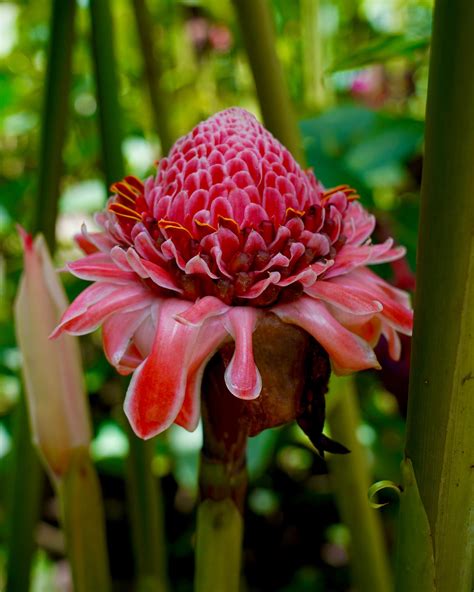 Alex Chovanak | Beautiful day exploring Mindo 🇪🇨 Cloud forest + 10k hike + waterfalls and jungle ...