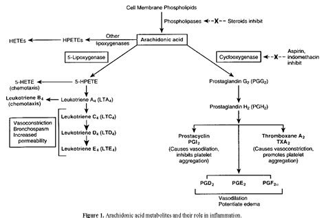 Shock Pathophysiology 的图像结果