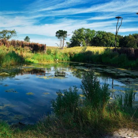 HET ZWIN NATUUR PARK (2025) All You Need to Know BEFORE You Go (with ...