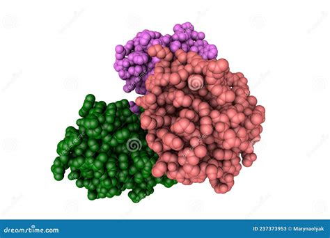 Image result for Fibrinogen Structure