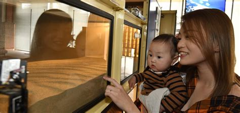 Image result for Atds Testing Lab