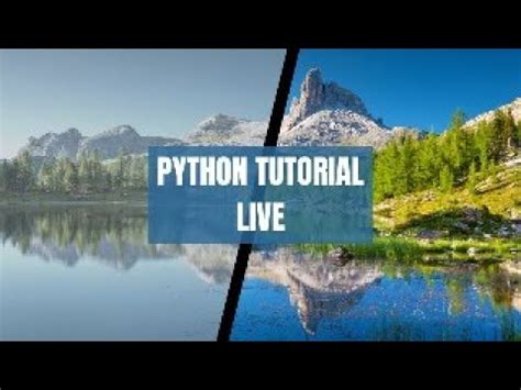 Image result for Python Tutorial Live