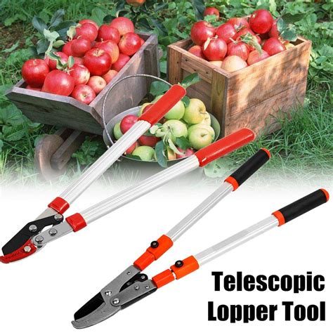 Garden Cutter Branch Shear Tools Garden Hand Tools... – Vicedeal